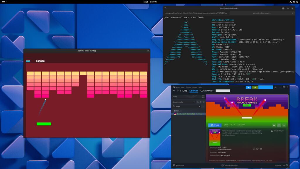 Screenshot eines Windows-Spiels das via Proton auf Arch Linux läuft