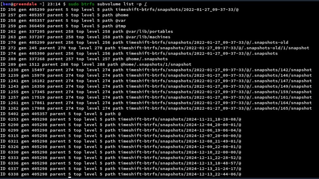 Diagramm das Btrfs-Subvolumes und Copy-on-Write-Snapshots zeigt