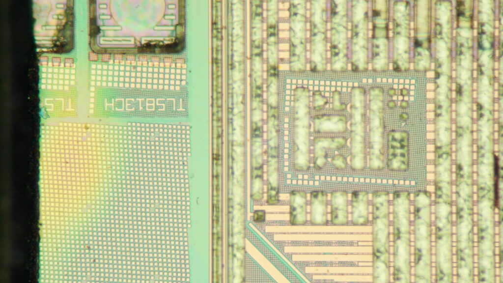 Mikroskopaufnahme des Zen-5-CCDs der AMD Ryzen 5 9600X CPU