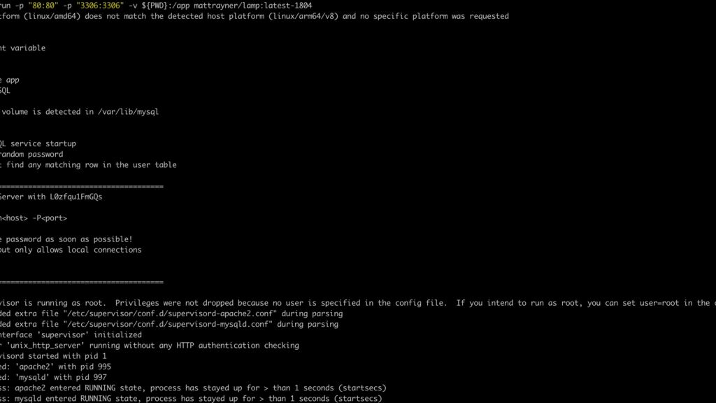 Docker-Container-Start im Terminal mit ausgegebener Container-ID und Statusmeldungen